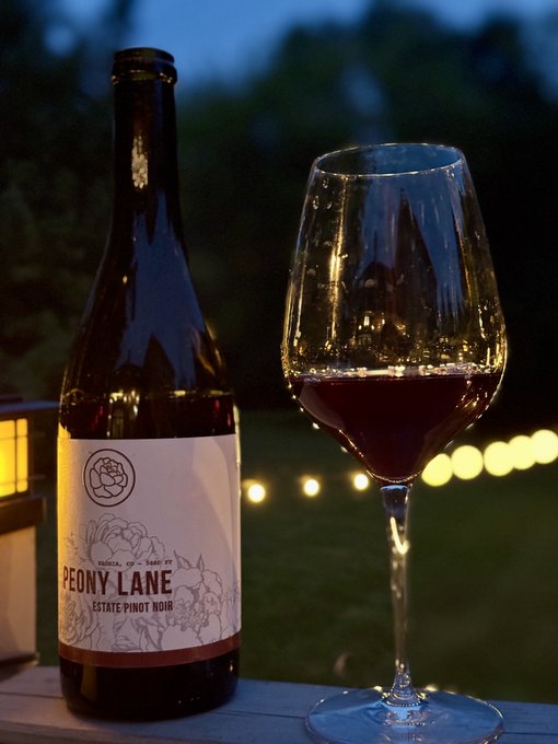 A bottle of 'Peony Lane Estate Pinot Noir' wine sits next to a glass of red wine on a table at dusk, with string lights glowing softly in the background.