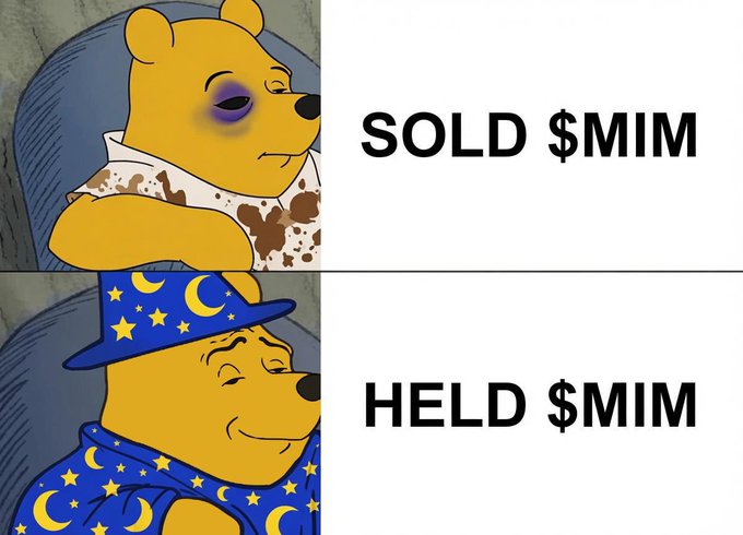 The image features two Winnie the Pooh characters - one wearing a blue hat with stars and the other wearing a brown hat. Both characters are sitting next to each other, and they have their eyes closed. The text "SOLD $MIM" is written above them on a white background, while the text "HELD $MIM" is below them.