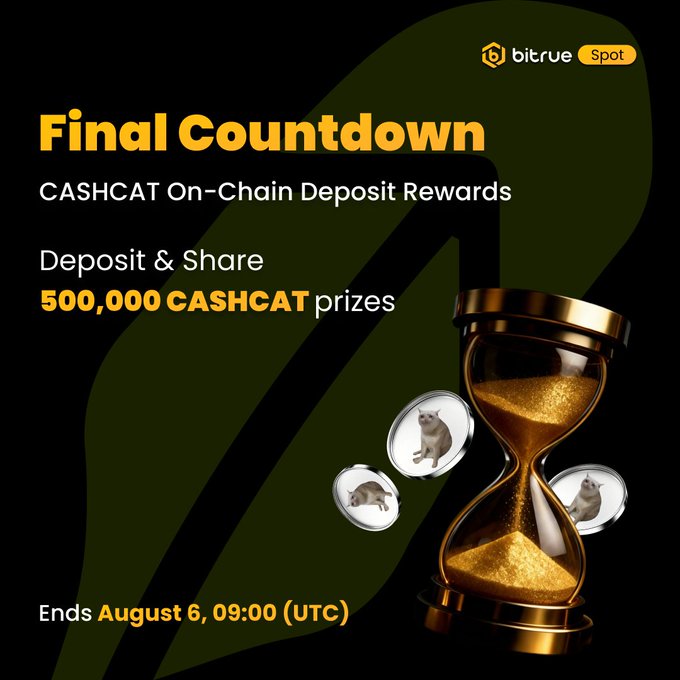 A Bitrue promotional graphic for the "Final Countdown" of CASHCAT On-Chain Deposit Rewards, offering a share of 500,000 CASHCAT prizes for users who deposit, ending August 6 at 09:00 (UTC), visually represented by an hourglass with gold sand and floating cats.