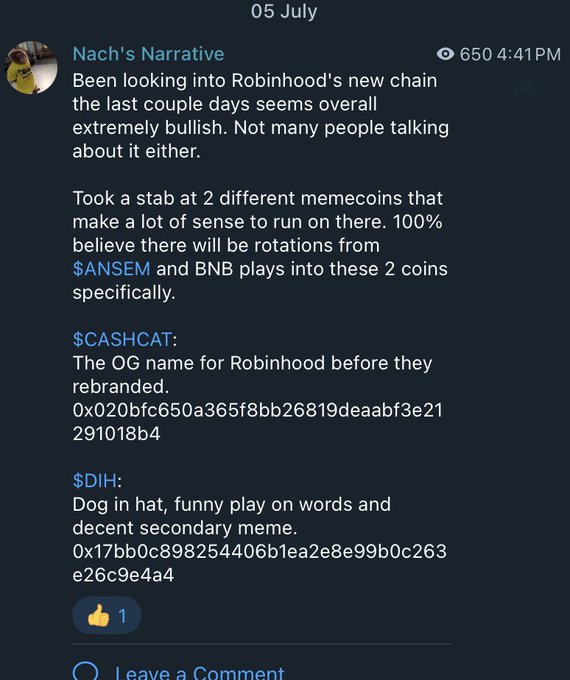 A Discord post by "Nach's Narrative" dated 05 July at 4:41 PM pitching Robinhood's new chain as bullish and highlighting two memecoins to rotate into from $SANSEM and BNB: $CASHCAT (contract 0x020bfc650a365f8bb26819deaabf3e21291018b4) and $DIH (contract 0x17bb0c898254406b1ea2e8e99b0c263e26c9e4a4), supporting the caption's claim of an early bullish thesis on Robinhood chain before wider attention.
