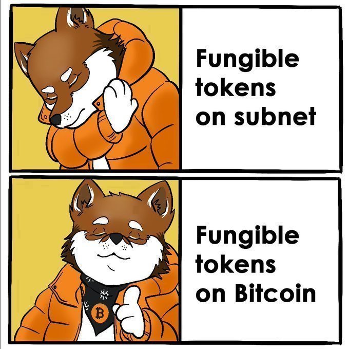 The image features a cartoon dog wearing an orange jacket, with the caption "Fungible tokens taken on Bitcoin" written below it. The text is in black and white, making it stand out against the colorful background of the cartoon dog's outfit.