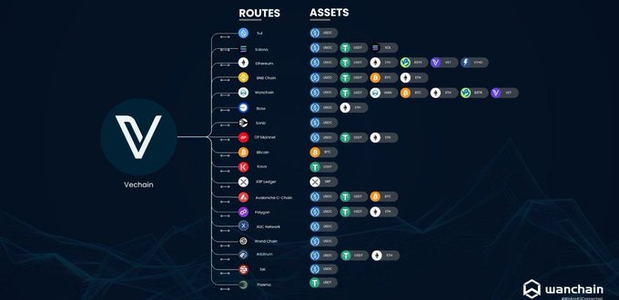 An infographic displaying VeChain's routes and assets, showing supported blockchains including Bitcoin, Cardano, Ethereum, BNB Chain, and various other networks alongside their supported assets/tokens.