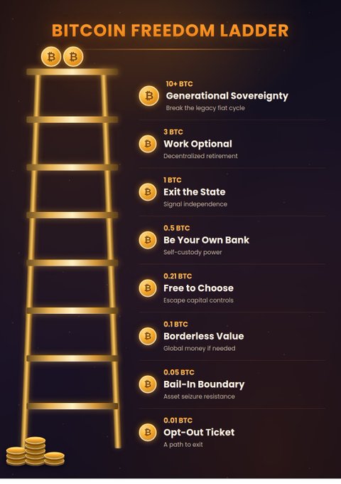 A golden ladder graphic titled "BITCOIN FREEDOM LADDER" displays eight ascending rungs representing Bitcoin accumulation milestones, from 0.01 BTC ("Opt-Out Ticket") at the bottom to 10+ BTC ("Generational Sovereignty") at the top, with intermediate steps like 0.1 BTC ("Borderless Value"), 1 BTC ("Exit the State"), and 3 BTC ("Work Optional"). The image visually reinforces the post's call to "stack sats and climb rungs" as a path toward financial sovereignty.