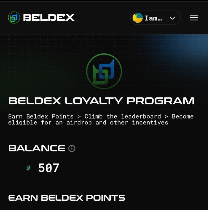 A screenshot of the Beldex Loyalty Program interface showing a balance of 507 points and text explaining users can 'Earn Beldex Points > Climb the leaderboard > Become eligible for an airdrop and other incentives'.