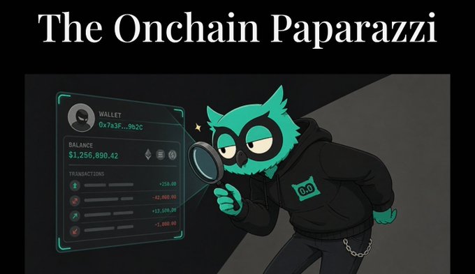 A banner titled 'The Onchain Paparazzi' showing a green cartoon owl character with a magnifying glass, appearing to investigate a wallet's balance of $1,256,890.42 and its transaction history.