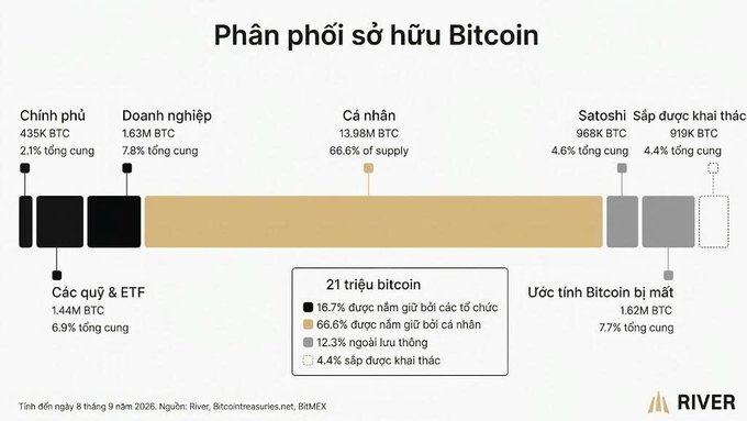 A Vietnamese-language infographic titled 'Phân phối sở hữu Bitcoin' (Bitcoin Ownership Distribution) breaks down BTC holdings among governments, corporations, individuals, ETFs, Satoshi, and miners, citing data from River, Bitcointreasuries.net, and BITMEX as of September 8, 2026.