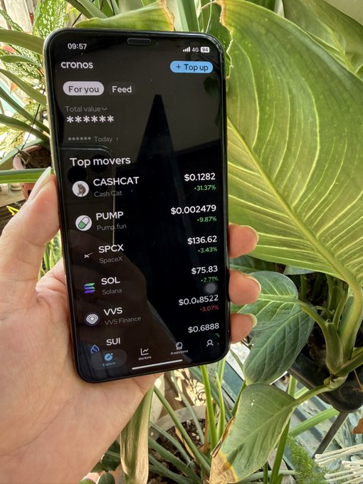 A hand holds a smartphone displaying the 'cronos' crypto app, showing a list of 'Top movers' including CASHCAT, PUMP, SPCX, SOL, VVS, and SUI with their respective price changes.
