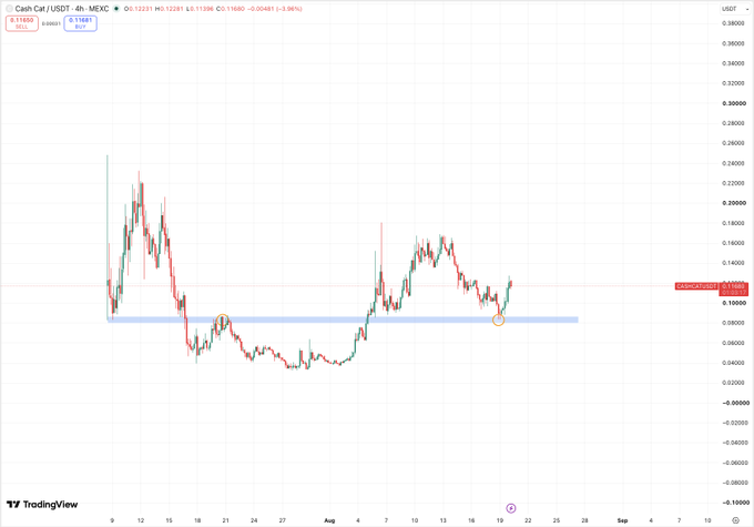 A TradingView 4-hour candlestick chart of Cash Cat (CASH/USDT) on MEXC, showing price action around the $0.11282 level with a highlighted support zone near $0.10000 (circled in orange), supporting the post's bullish outlook on the CASH token. The chart displays recent price recovery from lows near $0.0400 and a retest of a key horizontal support area.