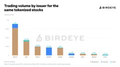 A bar chart titled 'Trading volume by issuer for the same tokenized stocks' showing various issuers including INX, tZERO, and Securitize with the BIRDEYE logo watermark.