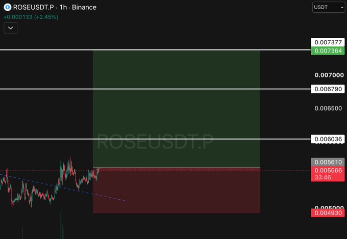 A cryptocurrency trading chart for ROSEUSDT.P on Binance showing a 2.45% increase, with current price at 0.005566 USDT and marked resistance levels at 0.006036, 0.006790, and 0.007377.