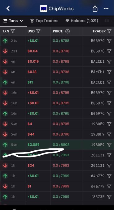 A cryptocurrency tracking app called 'ChipWorks' displaying a 'Top Traders' list with TXN, USD, PRICE, and TRADER columns, showing various transactions and prices around 0.0₈79XX range.
