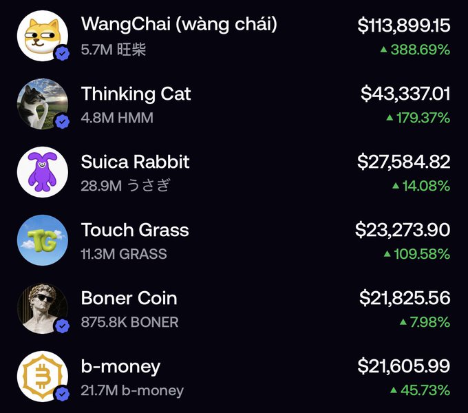 A leaderboard screenshot displaying top-performing cryptocurrencies including WangChai ($113,899.15, +388.69%), Thinking Cat ($43,337.01, +179.37%), Suica Rabbit ($27,584.82), Touch Grass ($23,273.90, +109.58%), Boner Coin ($21,825.56), and b-money ($21,605.99, +45.73%). The image illustrates the meme coin rally referenced in the post, showing the surge of Chinese-themed and humorous tokens the author is positioned to capitalize on amid the anticipated Robinhood resurgence.
