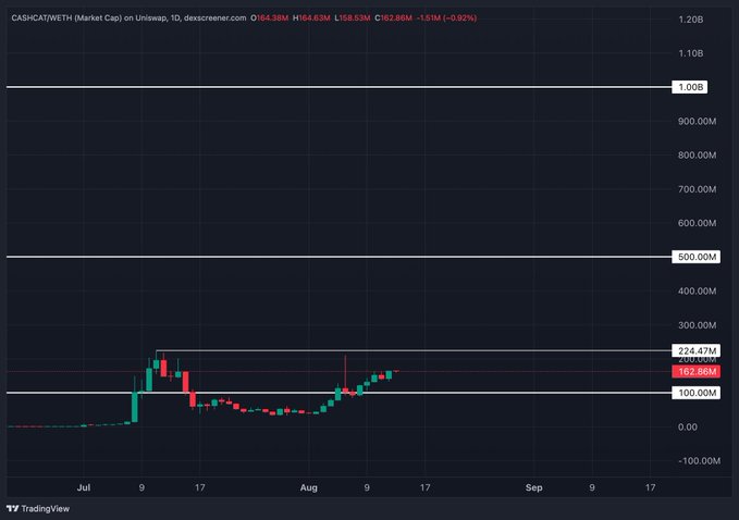 A TradingView chart titled "CASHCAT/WETH (Market Cap) on Uniswap" on the daily timeframe, showing a market cap of 164.63M, down -1.51% (-0.92%), with candlestick activity climbing toward the 224.47M resistance level.