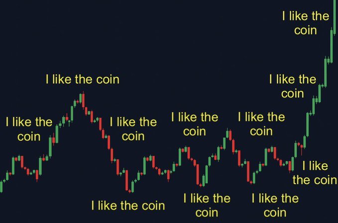 A candlestick chart on a dark background showing price movements, humorously annotated with the phrase 'I like the coin' at multiple peaks and troughs of the chart.