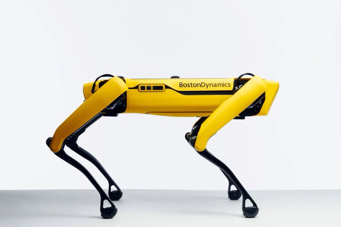 A yellow Boston Dynamics quadruped robot stands in profile against a white background, featuring black legs and the "Boston Dynamics" logo on its side.