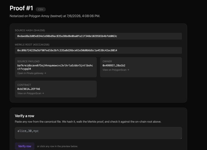 A screenshot of a 'Proof #1' page showing source hash, merkle root, raw payload, owner, and contract details, notarized on Polygon Amoy (testnet).