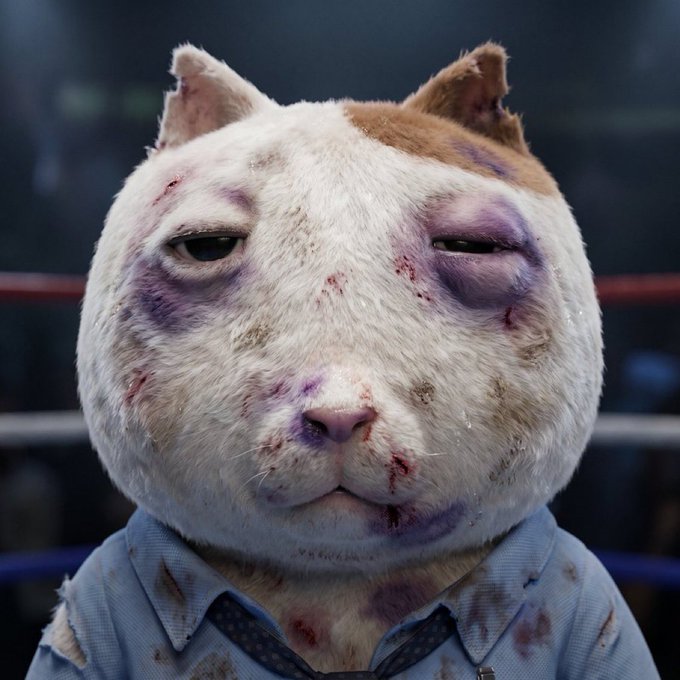 A bruised and battered cat, dressed in a ripped shirt and tie, sits in a boxing ring, reflecting the tough situation described in the accompanying post about "accumulating the dips."