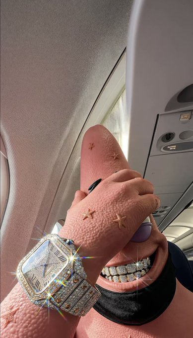 A close-up photo taken on an airplane shows a plush pink toy with a sparkling, jewel-encrusted Cartier watch on its arm and a diamond-encrusted grill on its teeth.
