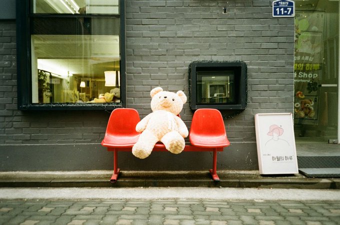 A teddy bear sits on a red bench outside a shop featuring a sign with '11-7' and partially visible text including 'Shop'.