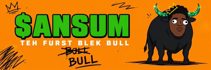 A cartoon banner on an orange background features the text "$ANSUM" in bold green letters, "TEH FURST BLEK BULL," and the handwritten-style tagline "BULL" crossed out and replaced with "BULL." To the right stands an illustrated black bull character with green horns and a small gold crown, representing the Solana memecoin $ANSUM and its "first black bull" branding.