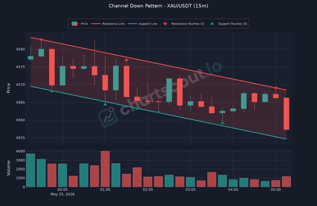 The image displays a graph with different colored bars, which represents various trends in a channel down pattern. Each bar represents a specific timeframe within the chart, such as "xAU" (Gold), "USDT", or "15m". The bars show fluctuations and historical data on price movements. There is no specific information about the color of the bars, but they are clearly visible and easy to understand for those familiar with the language of cryptocurrency charts.
