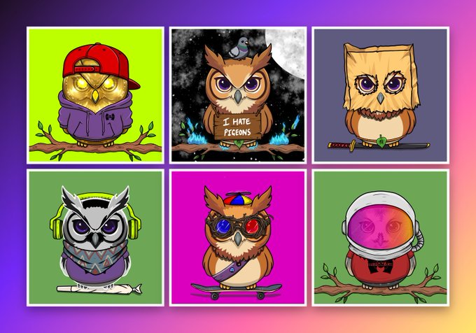 A grid of six cartoon owl characters in various poses and outfits, including one wearing a red cap, one holding an 'I HATE PIGEONS' sign, and another in an astronaut helmet, displayed against colorful backgrounds.