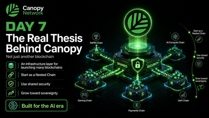 Canopy Network 'DAY 7: The Real Thesis Behind Canopy' promotional graphic showing blockchain infrastructure with DePIN, AI Compute, Gaming, Payments, and DeFi chains.