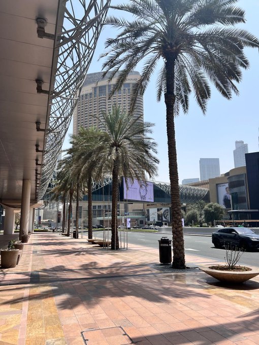 A view of a Dubai street with tall palm trees lining a tiled walkway, with a "GENERAL MOTORS" sign visible in the distance, suggesting proximity to a GM dealership or facility. The post "GM" relates to the General Motors signage visible in the image, connecting the urban Dubai setting to the automotive brand.