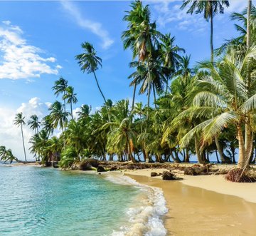 A tropical beach scene features white sand, turquoise water, and tall palm trees under a blue sky with scattered clouds.
