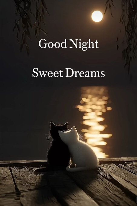 A serene nighttime scene with the text 'Good Night Sweet Dreams' displayed above two cats sitting on a wooden dock, gazing at a moonlit reflection on the water.