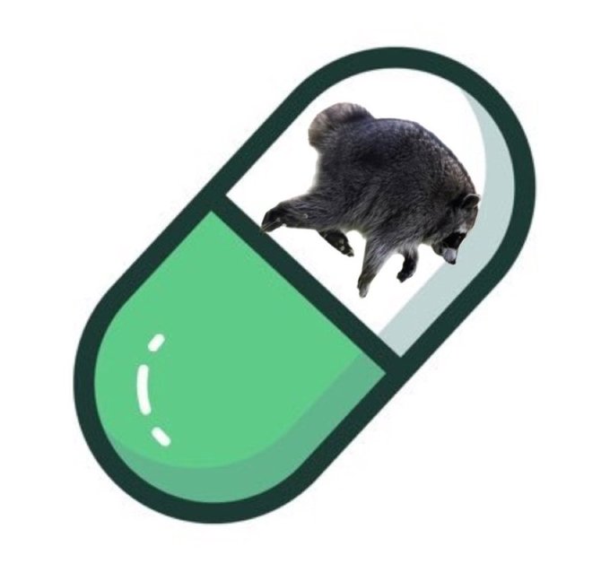 A green and white pill capsule illustration with a raccoon peeking out of the top half.