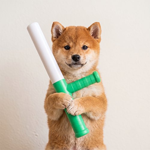 An adorable Shiba Inu puppy stands on its hind legs, gripping a green and white baseball bat with both paws against a plain beige background. The image captures the playful spirit of the meme coin "$Baton," featuring the dog mascot prominently as referenced in the post about its Pump.fun origins and pairing with $Pump.