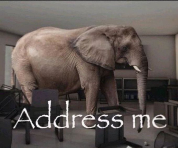 The image features a large elephant standing inside an empty room with white walls, a gray floor, and several chairs scattered around the space. In the foreground of the photo, there are two chairs positioned next to each other. The text "Address me" is written in black at the bottom right corner of the image. This suggests that someone has posted this picture for sale on a marketplace or social media platform, possibly for an advertisement or promotional purpose.