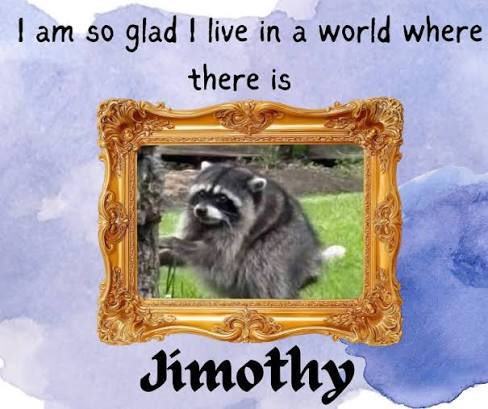A meme-style image features a raccoon in an ornate gold frame with the text "I am so glad I live in a world where there is Jimothy," playfully alluding to the post's mention of avoiding "rat KOLs" by celebrating the genuine, organic community behind the $Jimothy token.