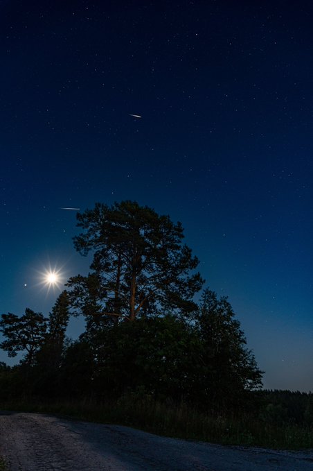 A nighttime landscape showing a silhouetted pine tree under a starry sky, with a bright moon on the left and what appears to be shooting stars or meteors streaking across the sky.