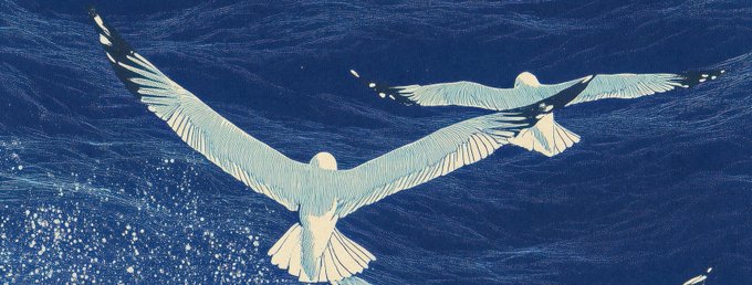 Two seagulls flying low over deep blue ocean water, captured in a stylized illustration.