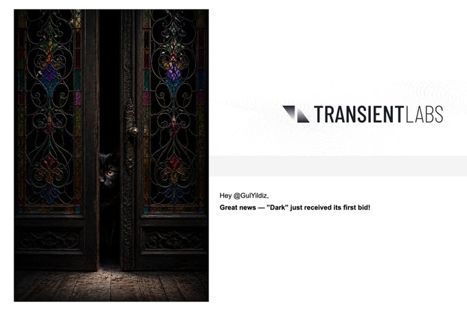 The image displays a tweet from "TRANSIENT LABS" announcing that the artwork "Dark" by @GulYildiz received its first bid, set against a gothic visual of a black cat peering through ornate stained-glass doors. The post likely references the Transient Labs NFT auction platform and the artwork titled "Dark," which is confirmed to be a piece featuring the black cat shown.