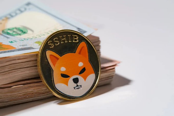 A Shiba Inu (SHIB) commemorative coin rests on a stack of US dollar bills, symbolizing cryptocurrency investment and wealth.