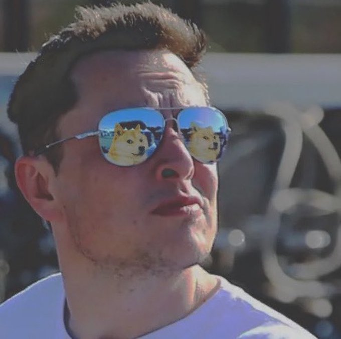 A man is shown in profile view wearing reflective blue aviator sunglasses, with a Shiba Inu (Doge) meme reflected in both lenses.

The image fits the caption "Elon Musk's best profile pic" because Musk often jokes about being the Dogecoin mascot, and the way the Doge reflection is perfectly centered in his sunglasses creates a comical illusion that the Doge *is* his face—playing on his well-known association with the meme coin.