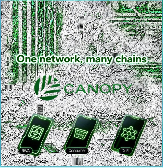 A textured silver and green graphic with the text "One network, many chains" alongside the Canopy logo, featuring icons labeled RWA, Consumer, and DeFi.