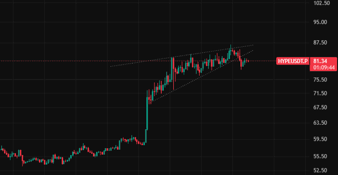 A financial candlestick chart for ticker HYPEUSDT.P showing price action with an ascending channel pattern, current price at 81.34.