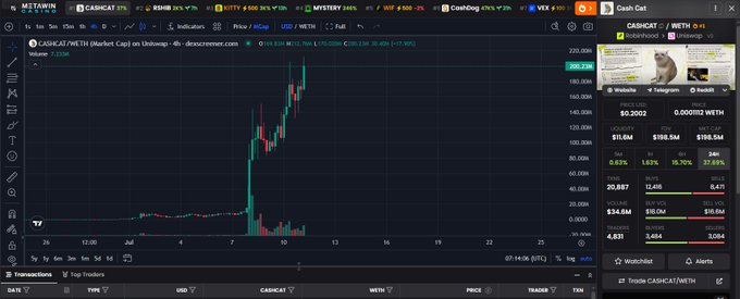 A TradingView chart of the CASHCAT/METW token pair on a Solana decentralized exchange, showing a sharp price spike, with a sidebar displaying market data and a Telegram post of a cat wearing a party hat.