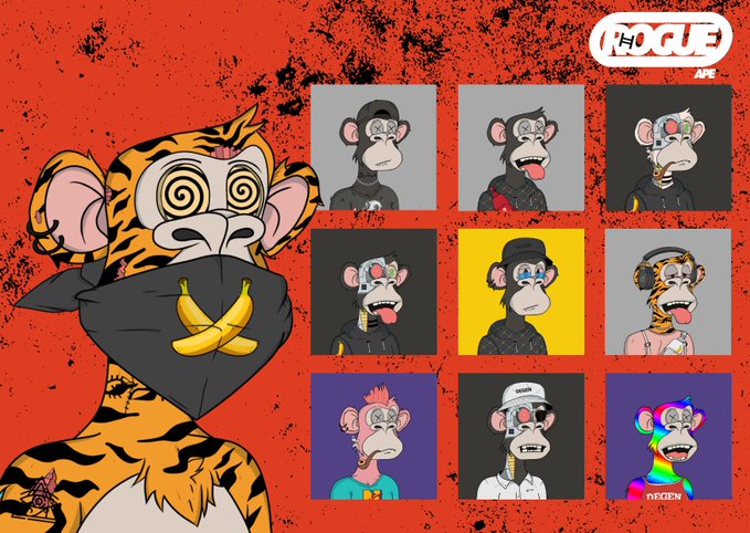 A promotional image for Rogue Ape NFT collection featuring a large illustrated tiger-monkey character with a bandana alongside a 3x3 grid of different Bored Ape variants on an orange textured background.