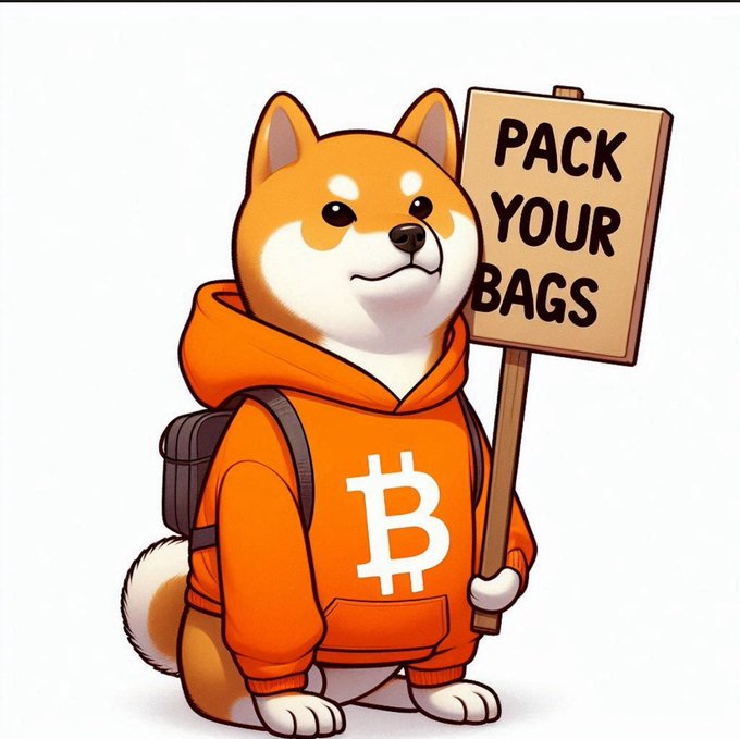A cartoon Shiba Inu dog wearing an orange Bitcoin hoodie, carrying a backpack, and holding a sign that reads 'PACK YOUR BAGS'.