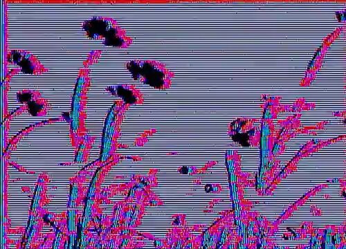 None