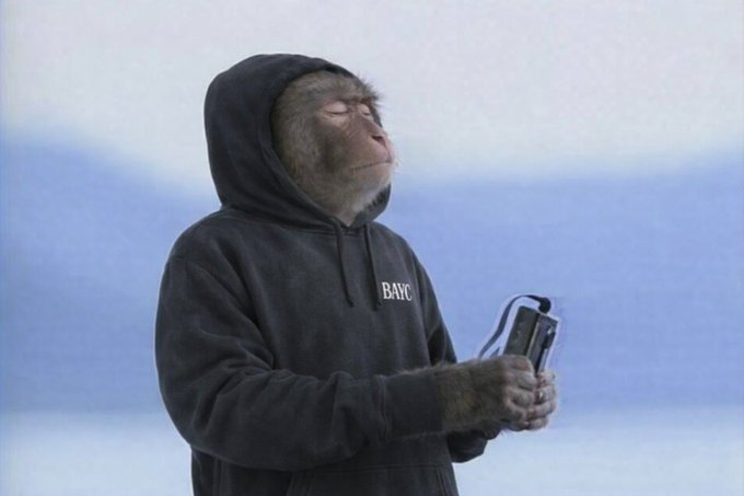 A monkey wearing a black hoodie with "BAYC" printed on the chest appears to be enjoying music with closed eyes while holding a device, visually representing the Bored Ape Yacht Club (BAYC) brand referenced in the post about aspiring to own a BAYC NFT before Apefest.