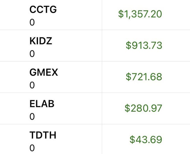 A table showing token holdings with CCTG at $1,357.20, KIDZ at $913.73, GMEX at $721.68, ELAB at $280.97, and TDTH at $43.69.