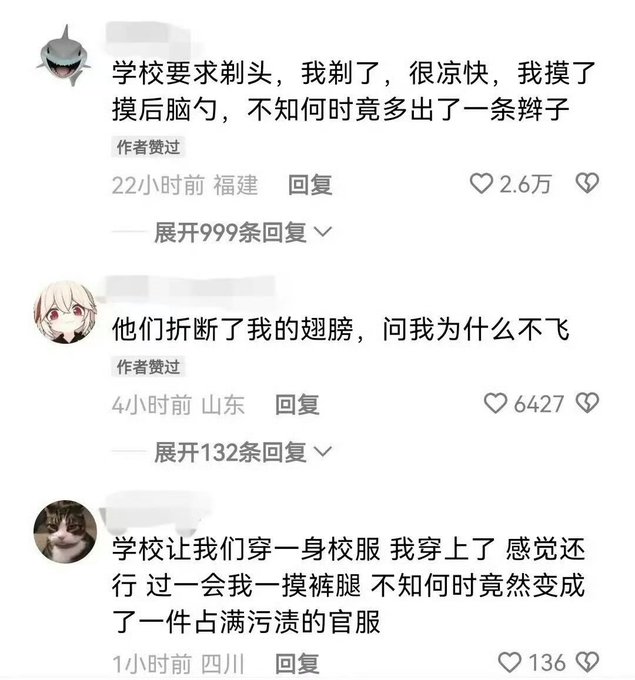 A screenshot of Chinese social media comments with humorous text, including one saying '学校要求剃头，我剃了，很凉快，我摸了摸后脑勺，不知何时竟多出了一条辫子' (School asked me to shave my head, so I did, it feels cool, I touched the back of my head, and somehow a braid appeared).