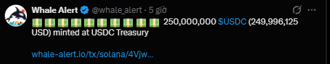 A tweet from @whale_alert reporting that 250,000,000 $USDC (249,996,125 USD) was minted at USDC Treasury on the Solana blockchain.