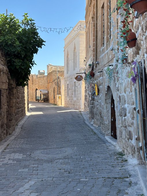 A narrow cobblestone street in an old town with stone and white-painted buildings, decorative artificial flowers hanging on a wall, and green foliage on the left side under a clear blue sky.